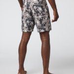 Bitewear.shop11549db4e1 2