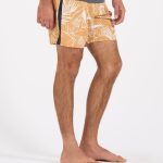 Bitewear.shop30d1a5ba54 2