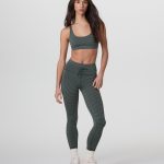 Bitewear.shop3611a1d198 2