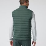 Bitewear.shop3cc207b4b3 2