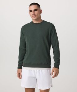 Bitewear.shop7ce7919120 1