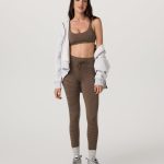 Bitewear.shop8b19ed0a2d 2