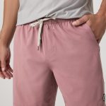 Bitewear.shop95f963f5bb 2