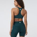 Bitewear.shopb148ccde3c 2